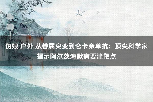 伪娘 户外 从眷属突变到仑卡奈单抗：顶尖科学家揭示阿尔茨海默病要津靶点