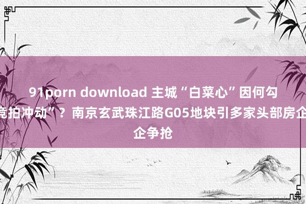 91porn download 主城“白菜心”因何勾起“竞拍冲动”？南京玄武珠江路G05地块引多家头部房企争抢