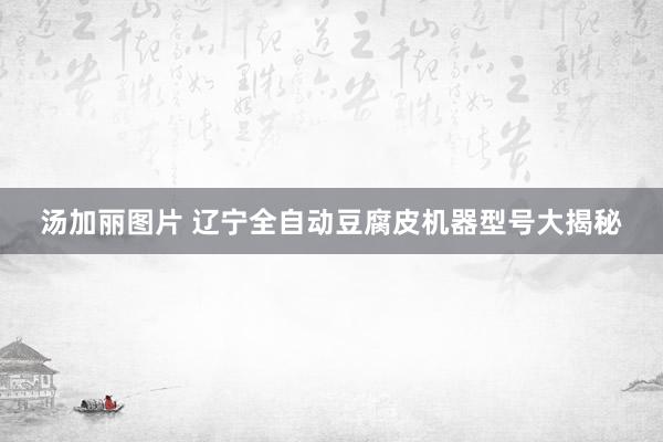 汤加丽图片 辽宁全自动豆腐皮机器型号大揭秘