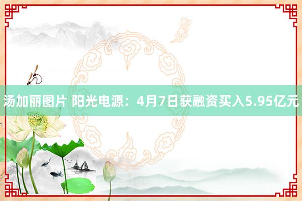 汤加丽图片 阳光电源：4月7日获融资买入5.95亿元