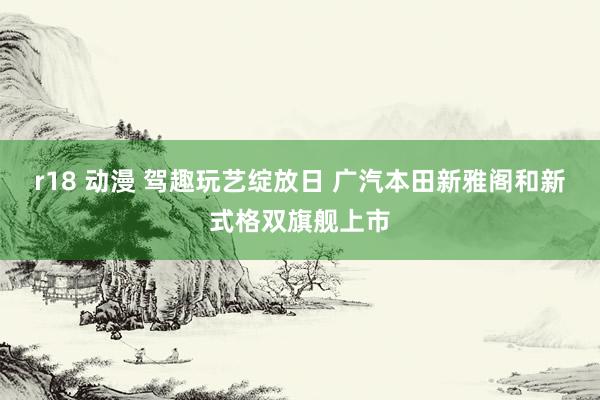 r18 动漫 驾趣玩艺绽放日 广汽本田新雅阁和新式格双旗舰上市