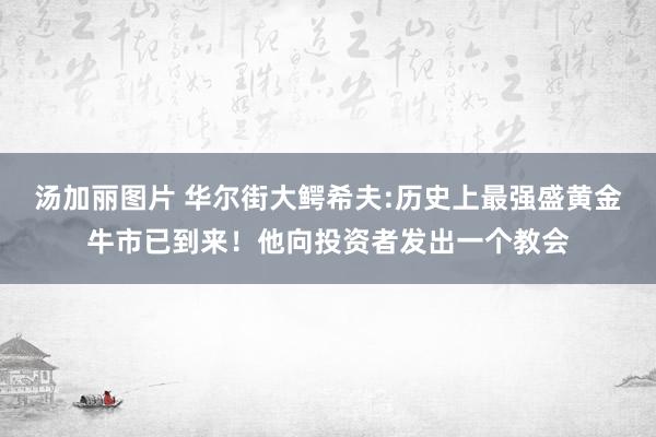 汤加丽图片 华尔街大鳄希夫:历史上最强盛黄金牛市已到来！他向投资者发出一个教会