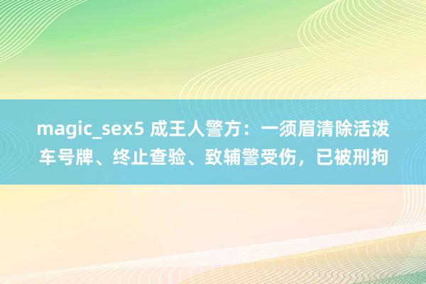 magic_sex5 成王人警方：一须眉清除活泼车号牌、终止查验、致辅警受伤，已被刑拘