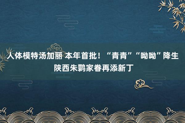 人体模特汤加丽 本年首批！“青青”“呦呦”降生 陕西朱鹮家眷再添新丁