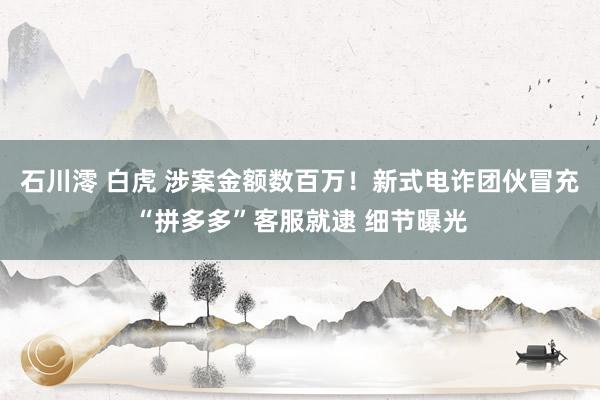 石川澪 白虎 涉案金额数百万！新式电诈团伙冒充“拼多多”客服就逮 细节曝光