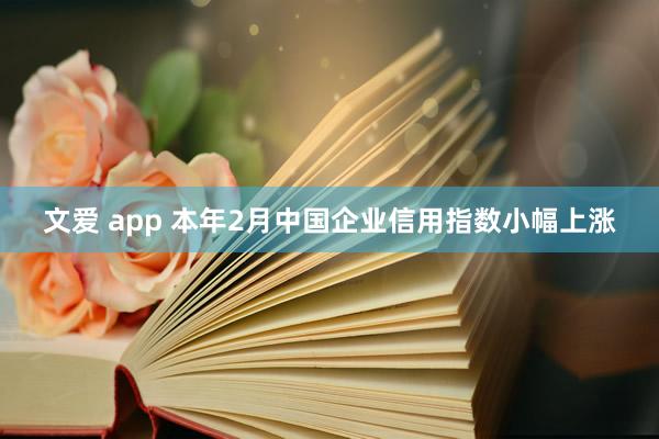 文爱 app 本年2月中国企业信用指数小幅上涨
