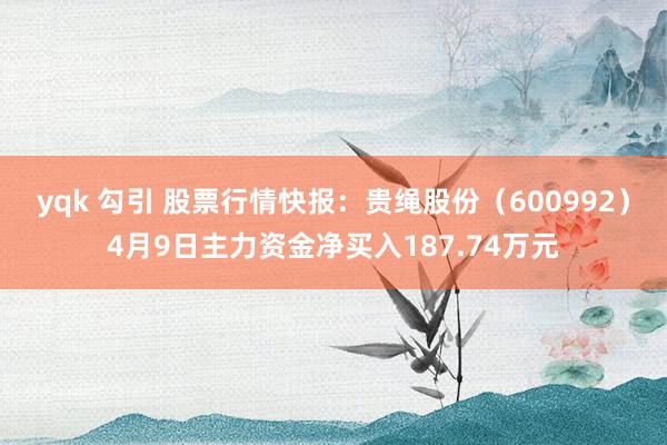 yqk 勾引 股票行情快报：贵绳股份（600992）4月9日主力资金净买入187.74万元