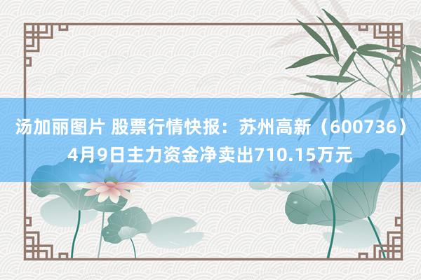 汤加丽图片 股票行情快报：苏州高新（600736）4月9日主力资金净卖出710.15万元