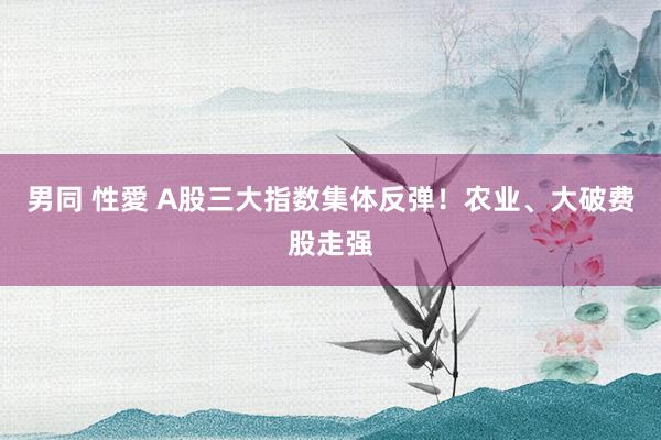 男同 性愛 A股三大指数集体反弹！农业、大破费股走强