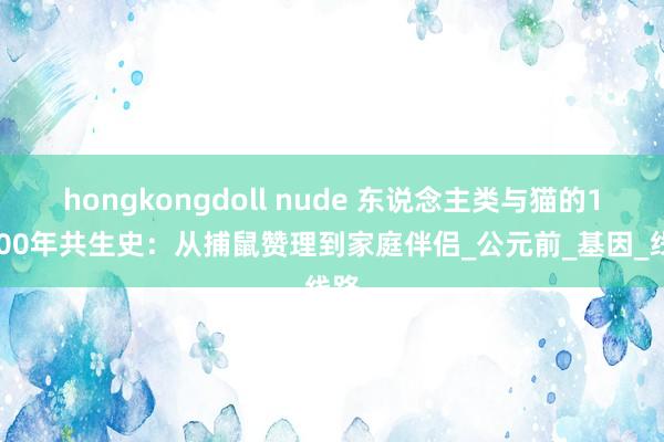 hongkongdoll nude 东说念主类与猫的13000年共生史：从捕鼠赞理到家庭伴侣_公元前_基因_线路
