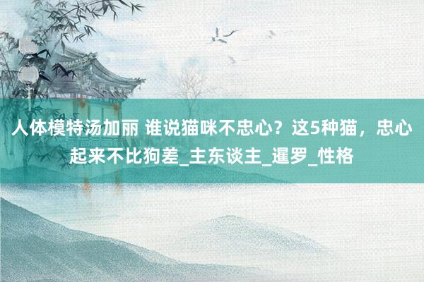 人体模特汤加丽 谁说猫咪不忠心？这5种猫，忠心起来不比狗差_主东谈主_暹罗_性格