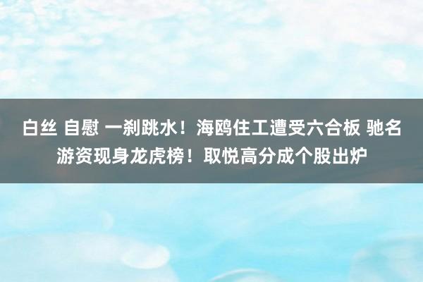 白丝 自慰 一刹跳水！海鸥住工遭受六合板 驰名游资现身龙虎榜！取悦高分成个股出炉