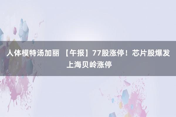 人体模特汤加丽 【午报】77股涨停！芯片股爆发 上海贝岭涨停