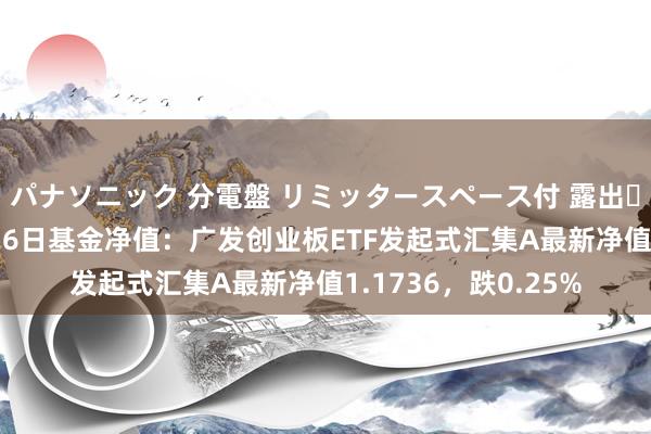 パナソニック 分電盤 リミッタースペース付 露出・半埋込両用形 3月26日基金净值：广发创业板ETF发起式汇集A最新净值1.1736，跌0.25%