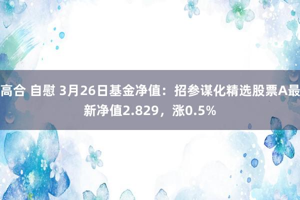 高合 自慰 3月26日基金净值：招参谋化精选股票A最新净值2.829，涨0.5%