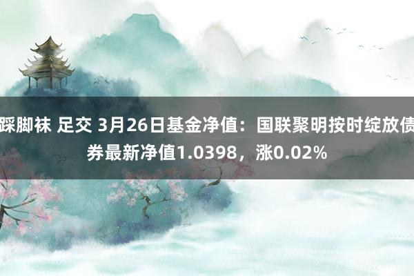 踩脚袜 足交 3月26日基金净值：国联聚明按时绽放债券最新净值1.0398，涨0.02%