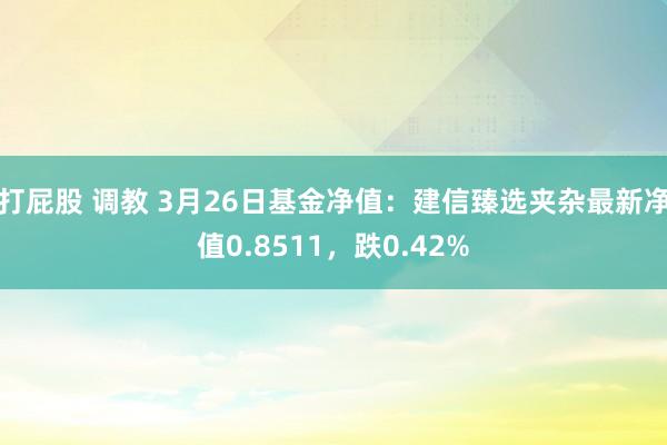打屁股 调教 3月26日基金净值：建信臻选夹杂最新净值0.8511，跌0.42%