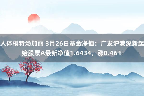 人体模特汤加丽 3月26日基金净值：广发沪港深新起始股票A最新净值1.6434，涨0.46%