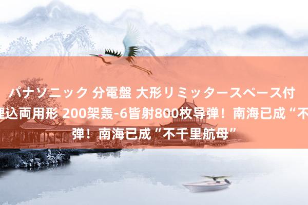 パナソニック 分電盤 大形リミッタースペース付 露出・半埋込両用形 200架轰-6皆射800枚导弹！南海已成“不千里航母”