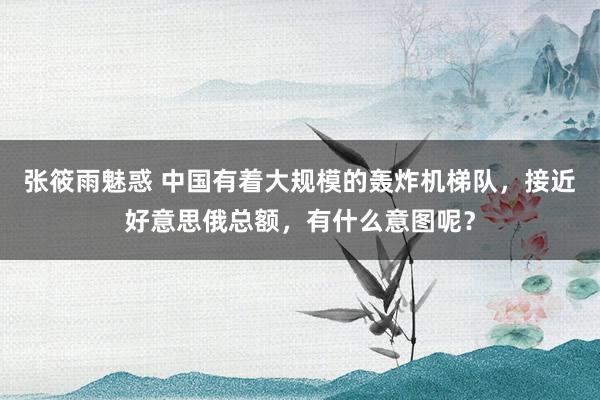 张筱雨魅惑 中国有着大规模的轰炸机梯队，接近好意思俄总额，有什么意图呢？
