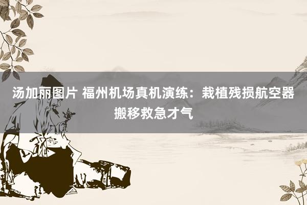 汤加丽图片 福州机场真机演练：栽植残损航空器搬移救急才气