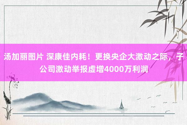 汤加丽图片 深康佳内耗！更换央企大激动之际，子公司激动举报虚增4000万利润