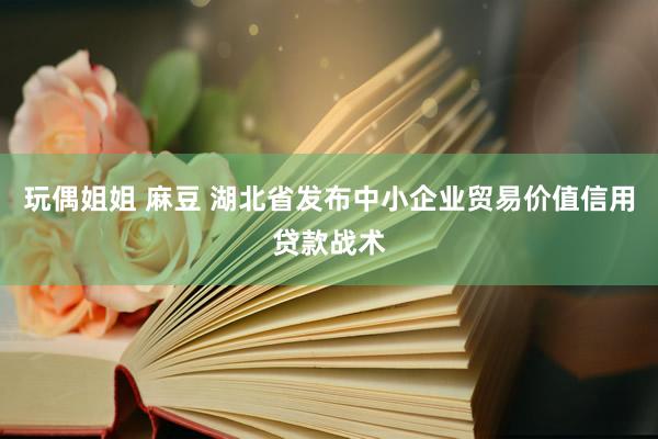 玩偶姐姐 麻豆 湖北省发布中小企业贸易价值信用贷款战术