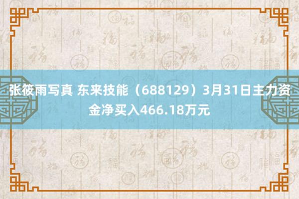 张筱雨写真 东来技能（688129）3月31日主力资金净买入466.18万元