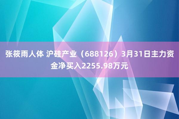 张筱雨人体 沪硅产业（688126）3月31日主力资金净买入2255.98万元