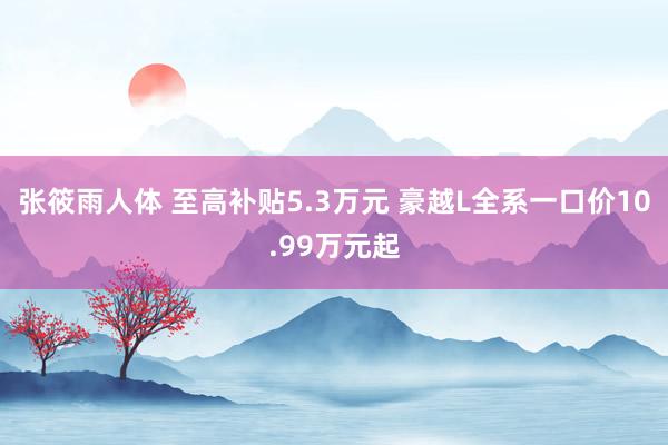 张筱雨人体 至高补贴5.3万元 豪越L全系一口价10.99万元起