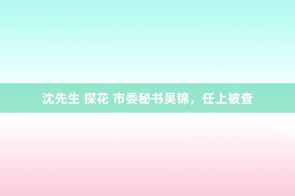 沈先生 探花 市委秘书吴锦，任上被查