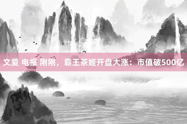 文爱 电报 刚刚，霸王茶姬开盘大涨：市值破500亿