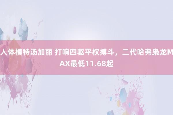 人体模特汤加丽 打响四驱平权搏斗，二代哈弗枭龙MAX最低11.68起