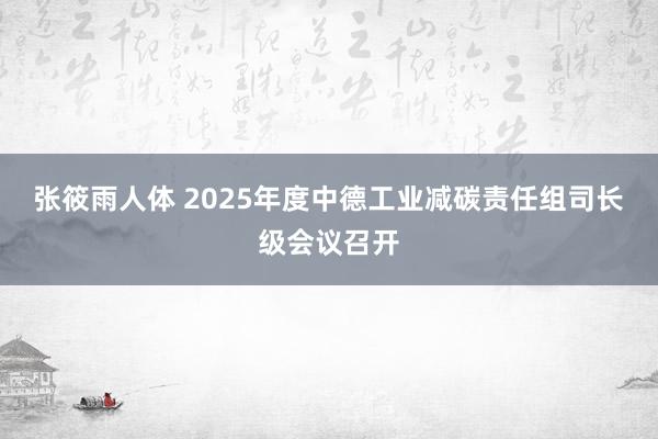 张筱雨人体 2025年度中德工业减碳责任组司长级会议召开
