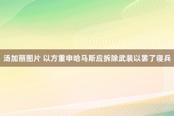 汤加丽图片 以方重申哈马斯应拆除武装以罢了寝兵