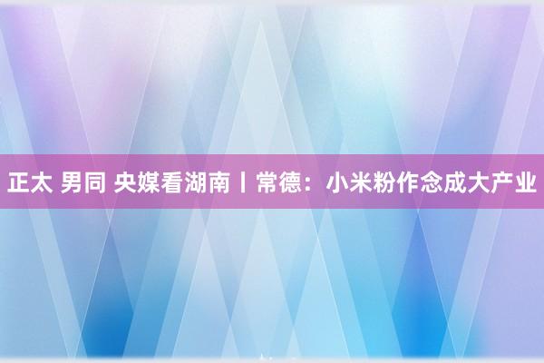 正太 男同 央媒看湖南丨常德：小米粉作念成大产业