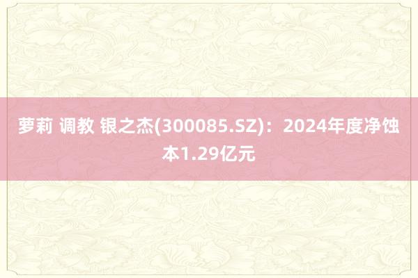 萝莉 调教 银之杰(300085.SZ)：2024年度净蚀本1.29亿元