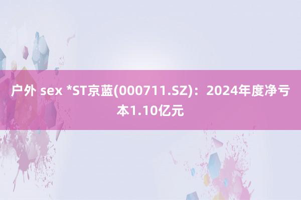 户外 sex *ST京蓝(000711.SZ)：2024年度净亏本1.10亿元