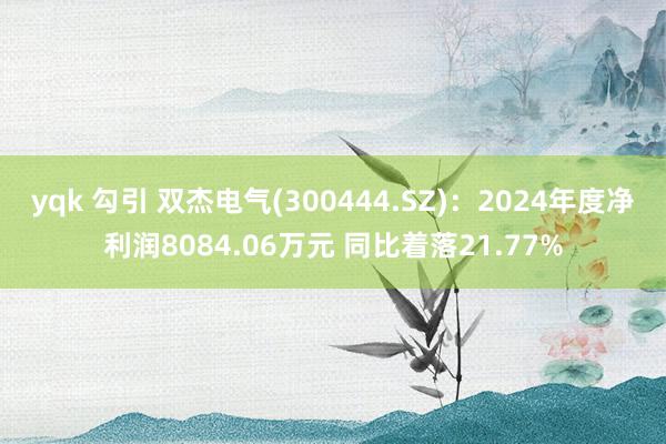 yqk 勾引 双杰电气(300444.SZ)：2024年度净利润8084.06万元 同比着落21.77%