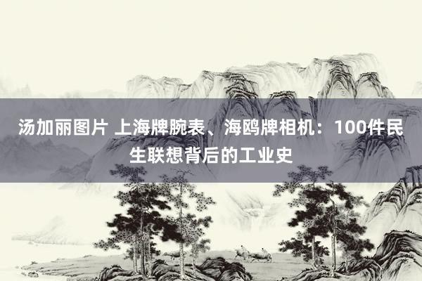 汤加丽图片 上海牌腕表、海鸥牌相机：100件民生联想背后的工业史