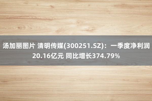 汤加丽图片 清明传媒(300251.SZ)：一季度净利润20.16亿元 同比增长374.79%
