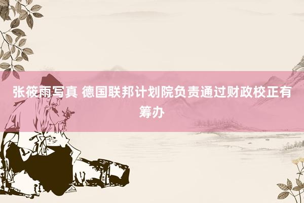 张筱雨写真 德国联邦计划院负责通过财政校正有筹办