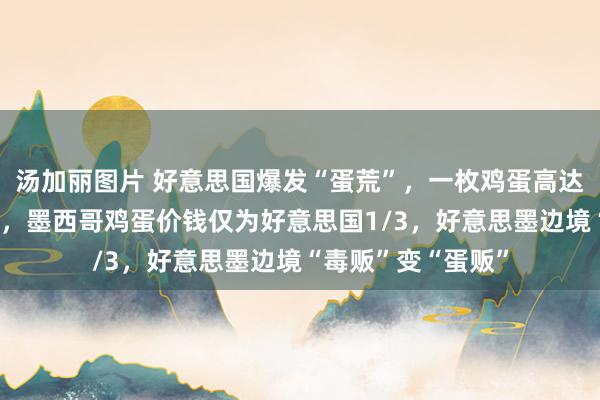 汤加丽图片 好意思国爆发“蛋荒”，一枚鸡蛋高达5元东说念主民币，墨西哥鸡蛋价钱仅为好意思国1/3，好意思墨边境“毒贩”变“蛋贩”