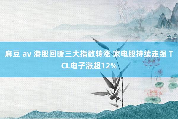 麻豆 av 港股回暖三大指数转涨 家电股持续走强 TCL电子涨超12%