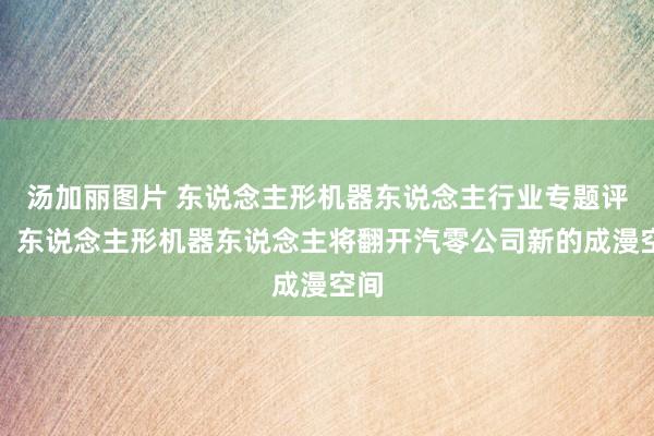 汤加丽图片 东说念主形机器东说念主行业专题评释：东说念主形机器东说念主将翻开汽零公司新的成漫空间
