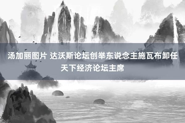 汤加丽图片 达沃斯论坛创举东说念主施瓦布卸任天下经济论坛主席