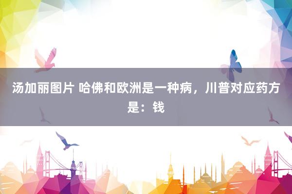 汤加丽图片 哈佛和欧洲是一种病，川普对应药方是：钱