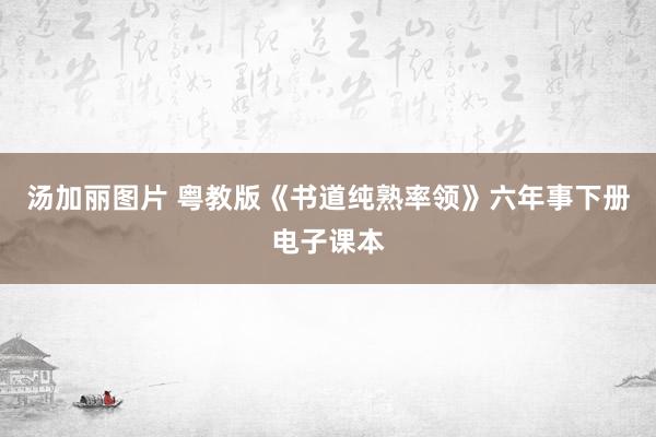 汤加丽图片 粤教版《书道纯熟率领》六年事下册电子课本