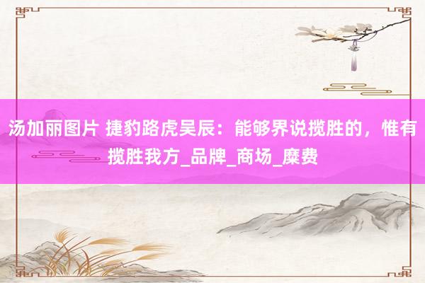 汤加丽图片 捷豹路虎吴辰：能够界说揽胜的，惟有揽胜我方_品牌_商场_糜费
