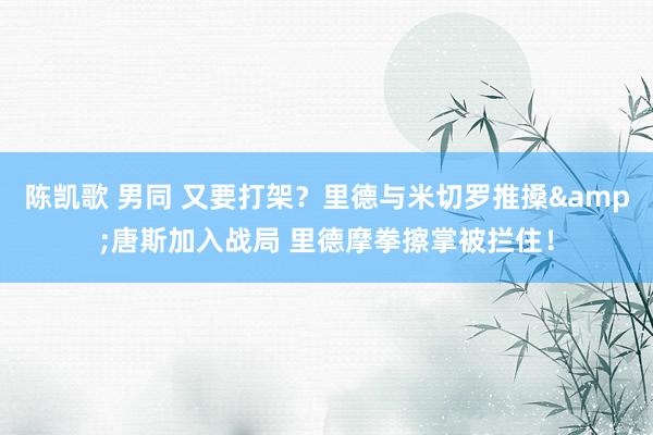 陈凯歌 男同 又要打架？里德与米切罗推搡&唐斯加入战局 里德摩拳擦掌被拦住！